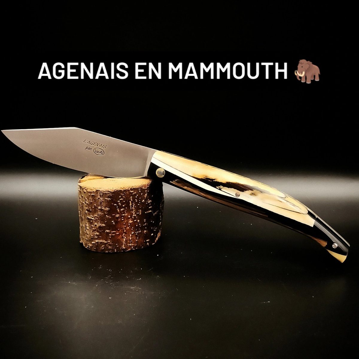 agenais mammouth