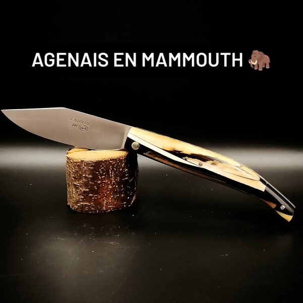 agenais mammouth
